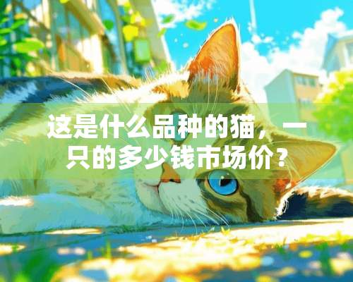 这是什么品种的猫，一只的多少钱市场价？