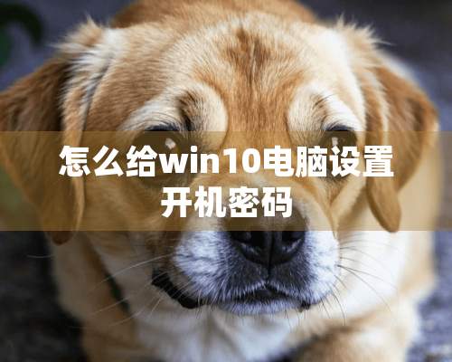 怎么给win10电脑设置开机密码