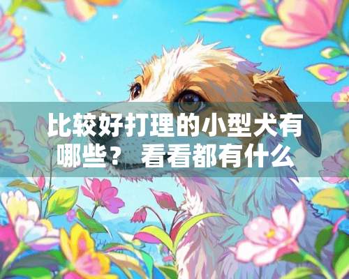 比较好打理的小型犬有哪些？ 看看都有什么