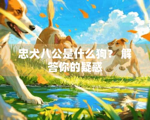 忠犬八公是什么狗？ 解答你的疑惑