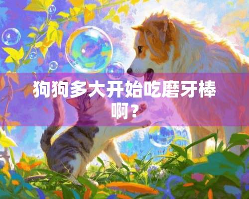 狗狗多大开始吃磨牙棒啊？