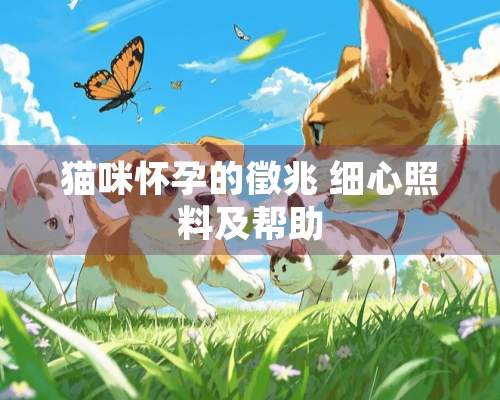 猫咪怀孕的徵兆 细心照料及帮助