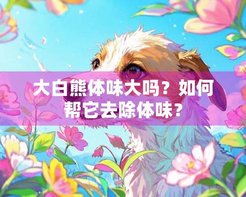 大白熊体味大吗？如何帮它去除体味？