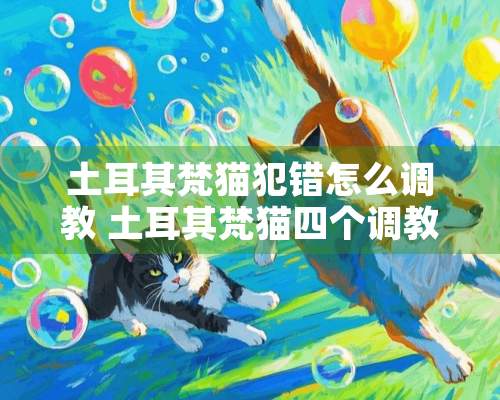 土耳其梵猫犯错怎么** 土耳其梵猫四个**方法