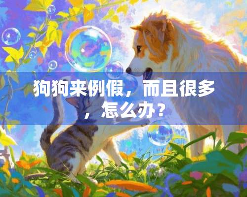 狗狗来例假，而且很多，怎么办？