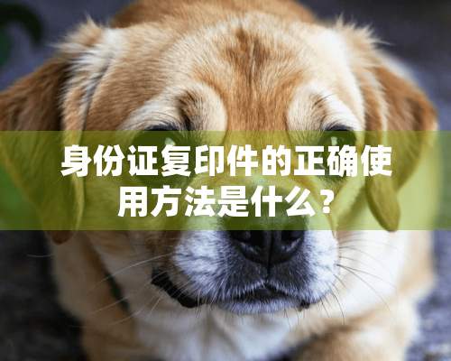 ***复印件的正确使用方法是什么？