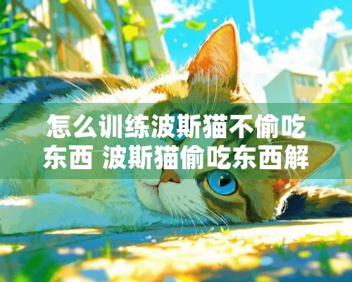 怎么训练波斯猫不偷吃东西 波斯猫偷吃东西解决办法