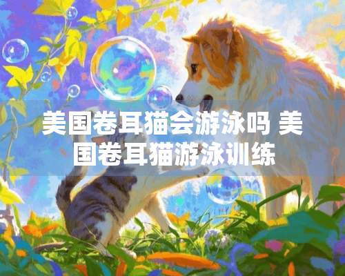 美国卷耳猫会游泳吗 美国卷耳猫游泳训练