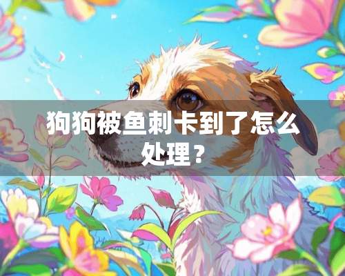 狗狗被鱼刺卡到了怎么处理？