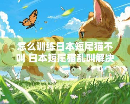 怎么训练日本短尾猫不叫 日本短尾猫乱叫解决办法