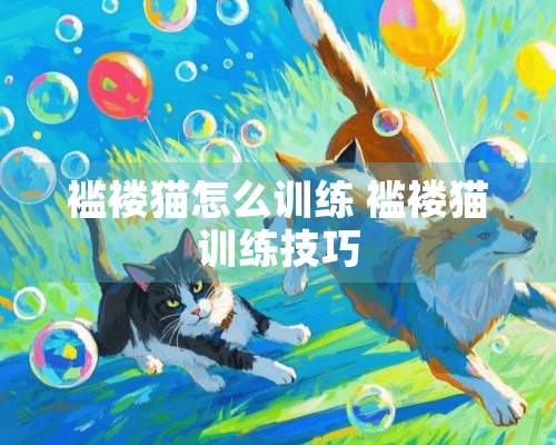 褴褛猫怎么训练 褴褛猫训练技巧