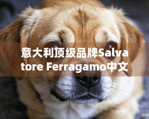 意大利**品牌Salvatore Ferragamo中文名称是叫什么？