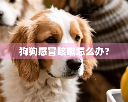 狗狗感冒咳嗽怎么办？