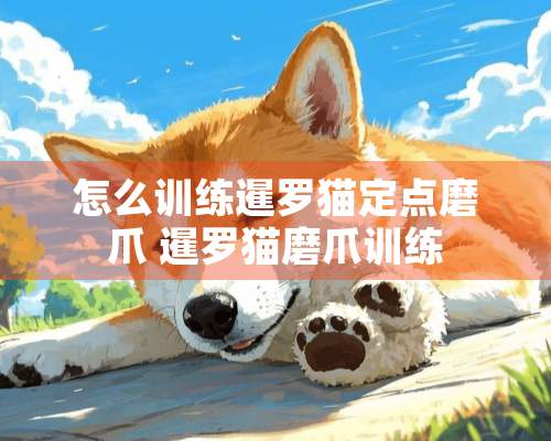 怎么训练暹罗猫定点磨爪 暹罗猫磨爪训练