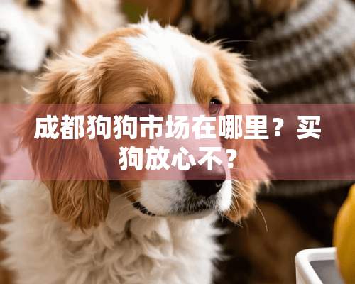 成都狗狗市场在哪里？买狗放心不？