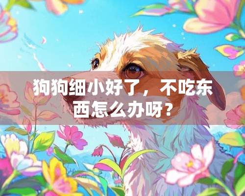 狗狗细小好了，不吃东西怎么办呀？