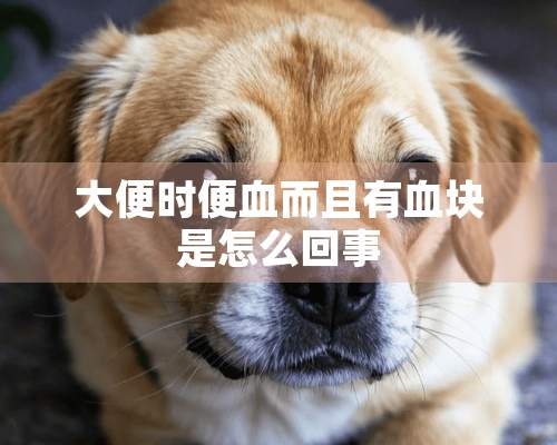 大便时便血而且有血块是怎么回事