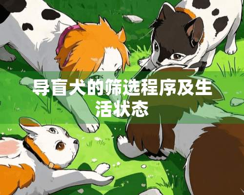 导盲犬的筛选程序及生活状态