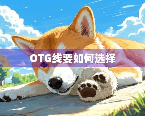 OTG线要如何选择