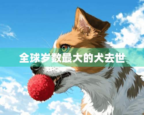 全球岁数最大的犬去世