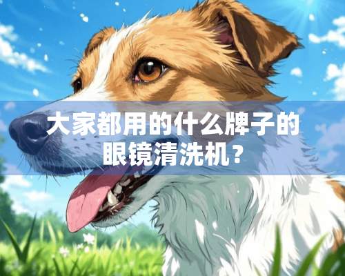 大家都用的什么牌子的眼镜清洗机？