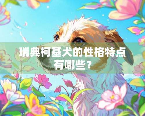 瑞典柯基犬的性格特点有哪些？