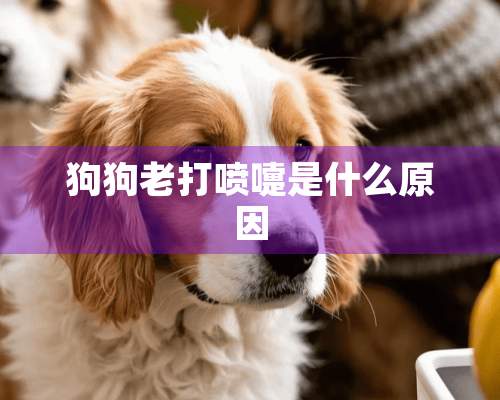 狗狗老打喷嚏是什么原因