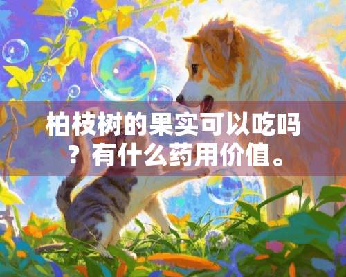 柏枝树的果实可以吃吗？有什么药用价值。