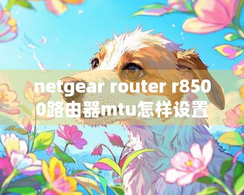 netgear router r8500路由器mtu怎样设置