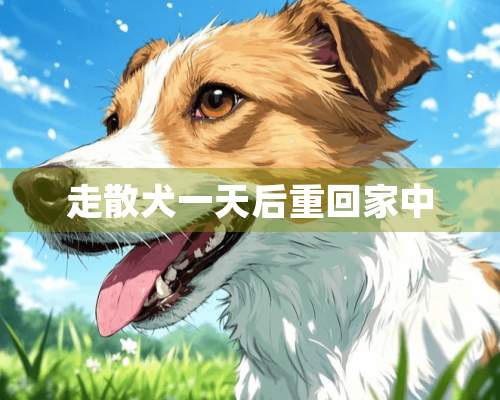 走散犬一天后重回家中