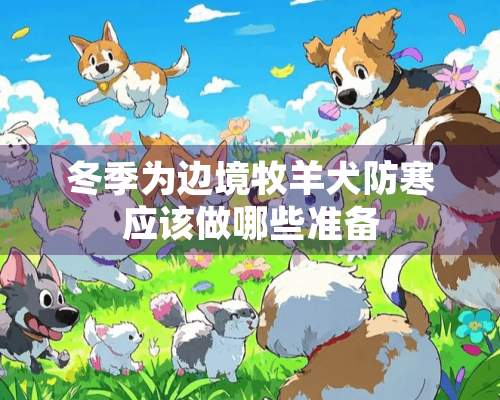 冬季为边境牧羊犬防寒应该做哪些准备