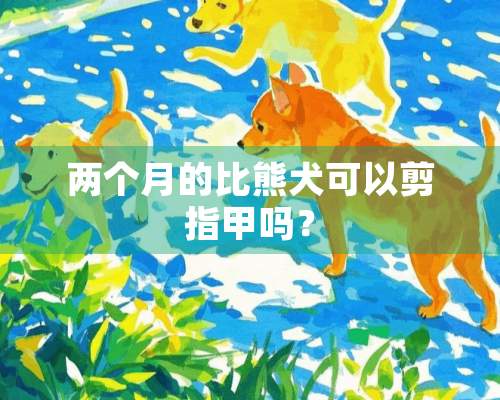 两个月的比熊犬可以剪指甲吗？