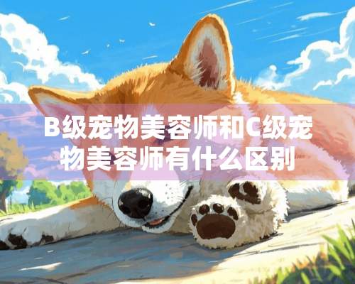 B级宠物美容师和C级宠物美容师有什么区别