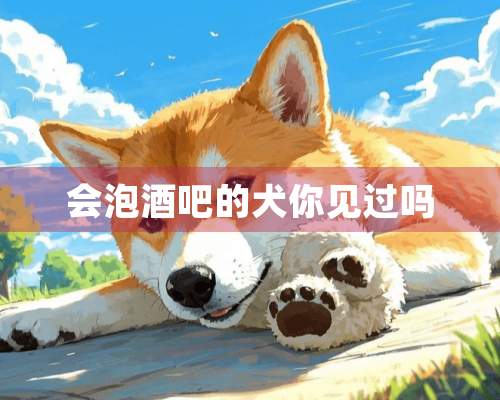 会泡酒吧的犬你见过吗