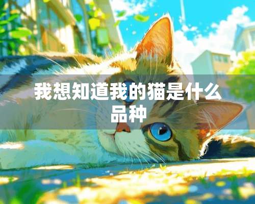 我想知道我的猫是什么品种