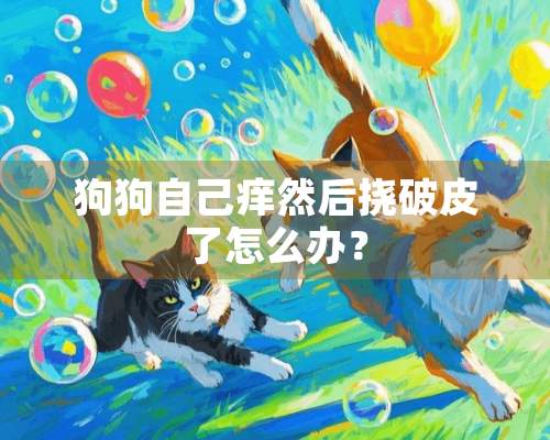 狗狗自己痒然后挠破皮了怎么办？