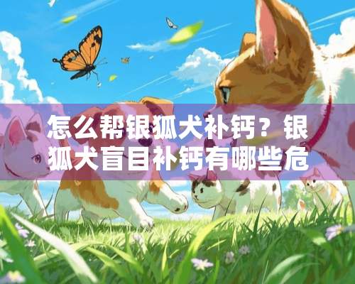 怎么帮银狐犬补钙？银狐犬盲目补钙有哪些危害？