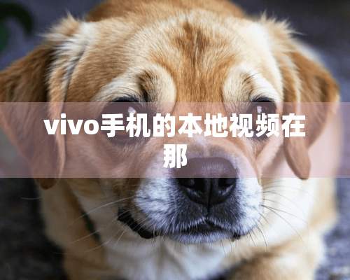 vivo手机的本地视频在那