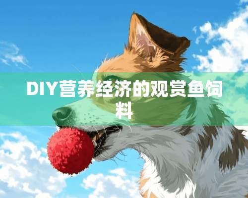 DIY营养经济的观赏鱼饲料