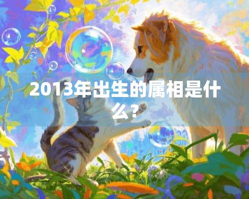 2013年出生的属相是什么？