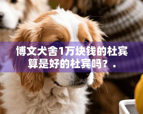 博文犬舍1万块钱的杜宾算是好的杜宾吗？.