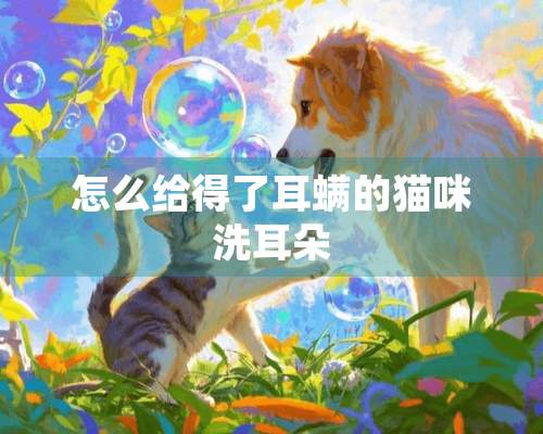 怎么给得了耳螨的猫咪洗耳朵