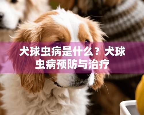 犬球虫病是什么？犬球虫病预防与治疗