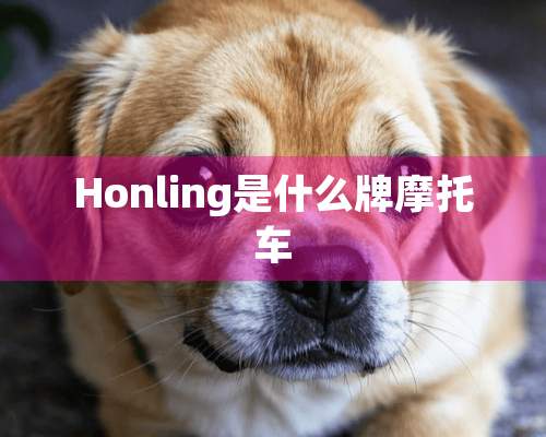 Honling是什么牌摩托车