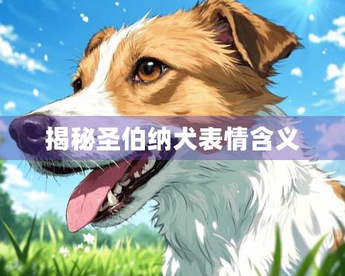 揭秘圣伯纳犬表情含义