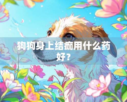 狗狗身上结痂用什么药好？