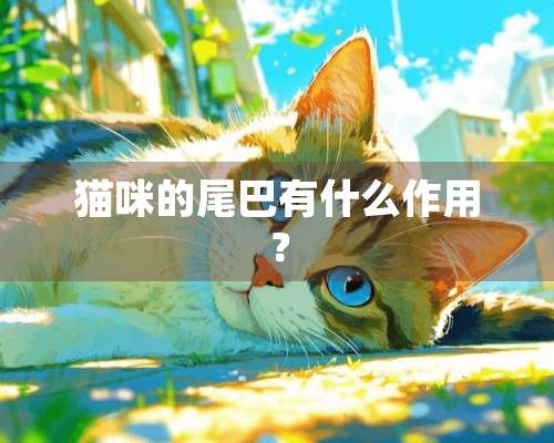 猫咪的尾巴有什么作用？