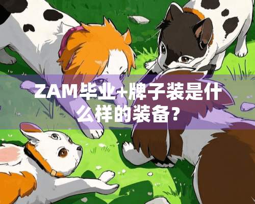 ZAM毕业+牌子装是什么样的装备？