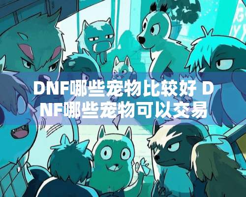 DNF哪些宠物比较好 DNF哪些宠物可以交易