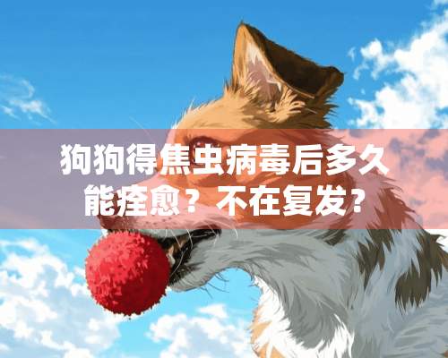 狗狗得焦虫**后多久能痊愈？不在复发？